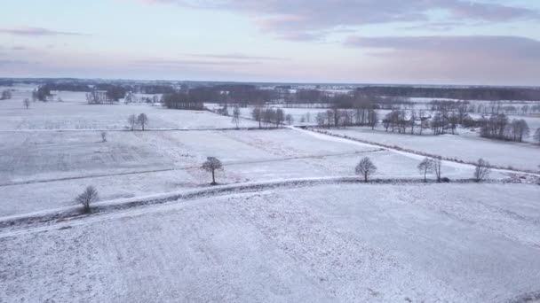 波兰附近的乡村 02242018 从上面看到的积雪覆盖的田野 — 图库视频影像