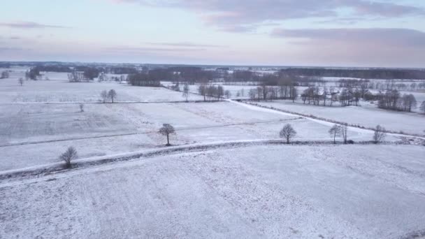 Campo Perto Varsóvia Polónia Data 02242018 Campos Cobertos Neve Vista — Vídeo de Stock