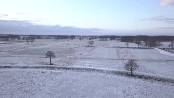 Campagna Vicino Varsavia Polonia Data 02242018 Campi Coperti Neve Visti — Video Stock