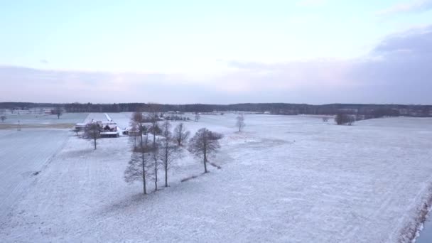 Деревня Недалеко Варшавы Польша Дата 02242018 Поля Покрытые Снегом Видны — стоковое видео