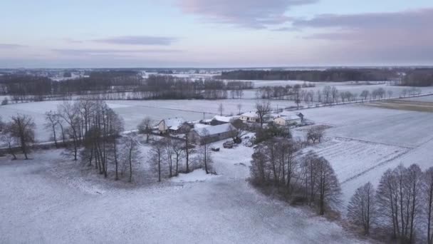 Landschaft Der Nähe Von Warschau Polen Datum 02242018 Schneebedeckte Felder — Stockvideo