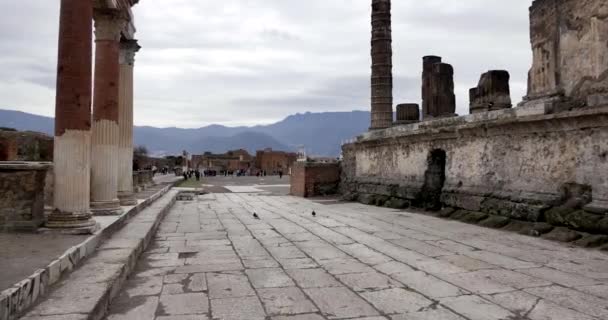 Pompeja Włochy Data 03182018 Wewnątrz Ruiny Mieście Pompeja Włochy Park — Wideo stockowe