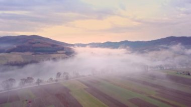 Yukarıdan güzel bir nehir görünüyor. Bieszczady Dağları 'nın doğası yukarıdan görülüyor. Avrupa manzarasının hava görüntüsü.