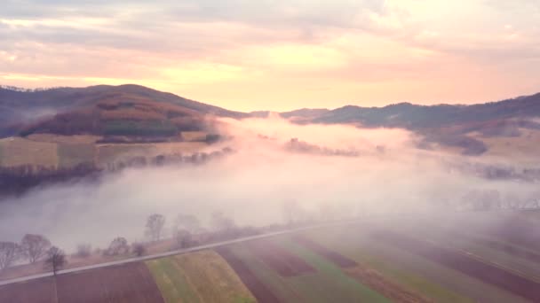 Schöner Fluss Von Oben Gesehen Die Natur Des Bieszczady Gebirges — Stockvideo