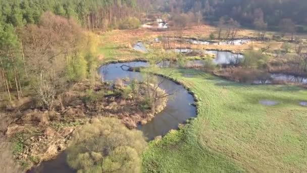 Bolimow Pologne Date 04142018 Vue Aérienne Une Petite Rivière Sinueuse — Video