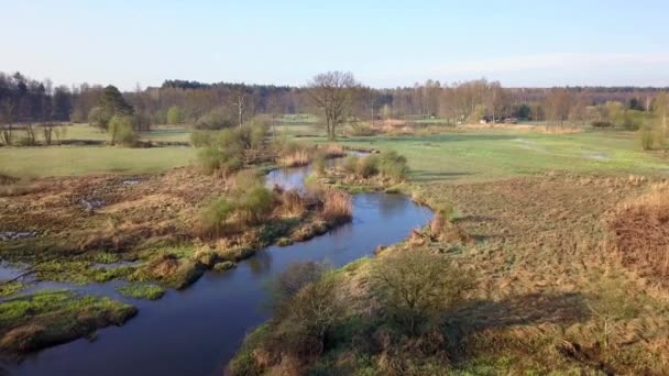 Bolimow Poland Date 04142018 Aerial Shot Small Curvy River Small — Stock Video
