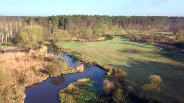 Bolimow Poland Date 04142018 Aerial Shot Small Curvy River Small — Stock Video