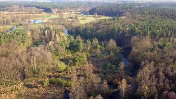 Bolimow Polen Datum 04142018 Luchtfoto Van Kleine Bochtige Rivier Riviertje — Stockvideo