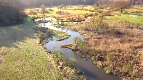 Bolimow Pologne Date 04142018 Vue Aérienne Une Petite Rivière Sinueuse — Video