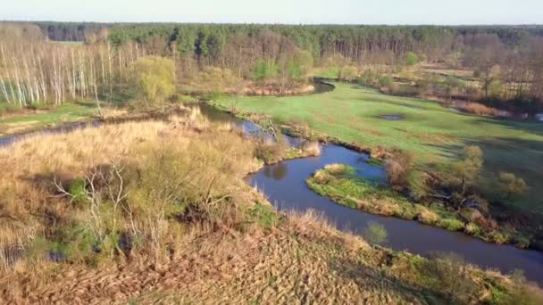 Bolimow ポーランド 04142018 小さな 曲がりくねった川の空中ショットは 小さな川の上から見ると春の光の中 — ストック動画