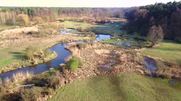 Bolimow Poland Date 04142018 Aerial Shot Small Curvy River Small — Stock Video