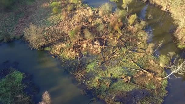 Bolimow Polen Datum 04142018 Luchtfoto Van Kleine Bochtige Rivier Riviertje — Stockvideo