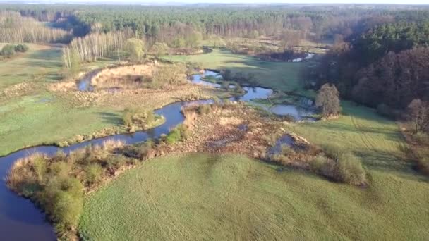 Bolimow Poland Datum 04142018 Luftaufnahme Eines Kleinen Kurvenreichen Flusses Kleiner — Stockvideo