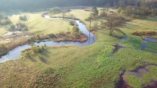 Bolimow Poland Date 04142018 Aerial Shot Small Curvy River Small — Stock Video