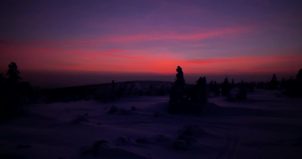 Sonnenuntergang Winter Bäume Bedeckt Mit Schnee Und Buntem Himmel — Stockvideo