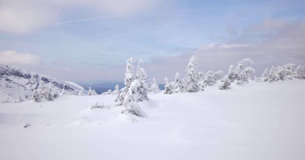 Sudety Bergen Polen Datum 03222018 Heuvels Bedekt Met Sneeuw Zonnige — Stockvideo