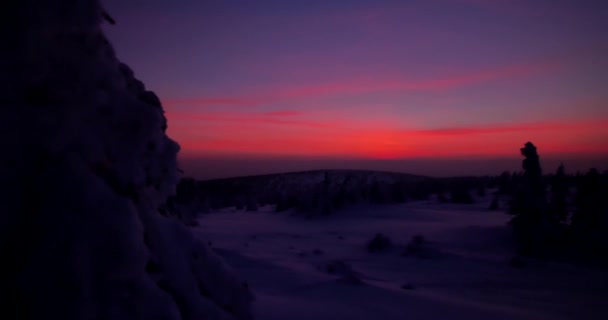 Puesta Sol Invierno Árboles Cubiertos Nieve Cielo Colorido — Vídeos de Stock