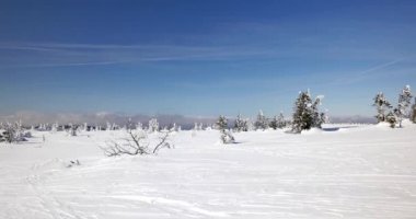 Szklarska Poreba / Polonya - tarihi: 03222018. Hills karla kaplı. Güneşli, soğuk gün Sudety dağlarında.