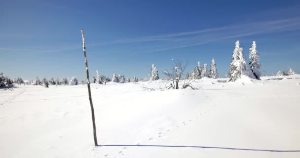 シクラルスカ ポレンバ ポーランド 03222018 丘は雪に覆われました Sudety 山地の日当たりの良い 冷たい日 — ストック動画