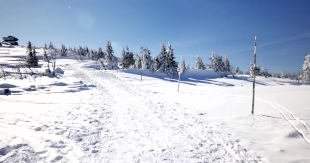 シクラルスカ ポレンバ ポーランド 03222018 丘は雪に覆われました Sudety 山地の日当たりの良い 冷たい日 — ストック動画