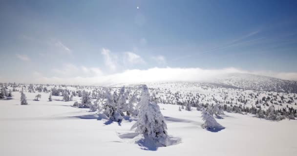 Szklarska Poreba 03222018 积雪覆盖的丘陵 寒冷的天在 Sudety — 图库视频影像