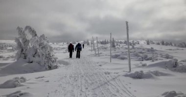Hills karla kaplı. Güneşli, soğuk gün Sudety dağlarında.