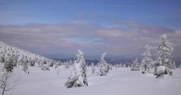 Wzgórza Pokryte Śniegiem Słoneczny Zimny Dzień Sudetach — Wideo stockowe