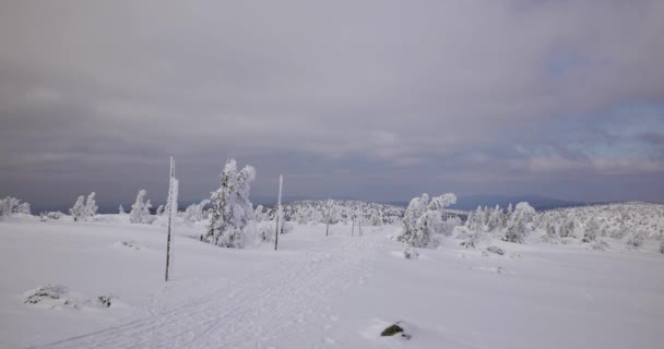 积雪覆盖的丘陵 寒冷的天在 Sudety — 图库视频影像