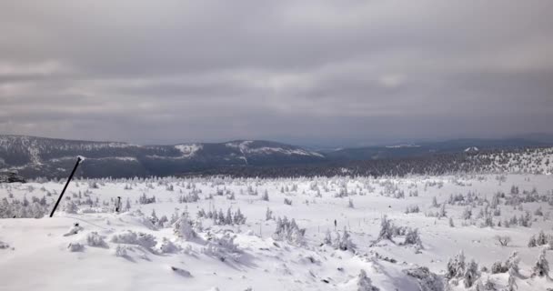 Colinas Cobertas Neve Dia Ensolarado Frio Nas Montanhas Sudety — Vídeo de Stock
