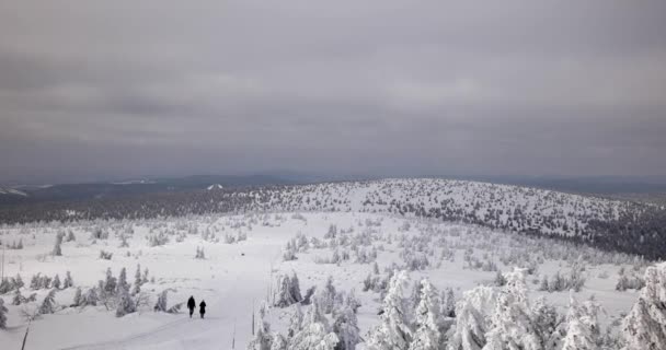 Colinas Cobertas Neve Dia Ensolarado Frio Nas Montanhas Sudety — Vídeo de Stock