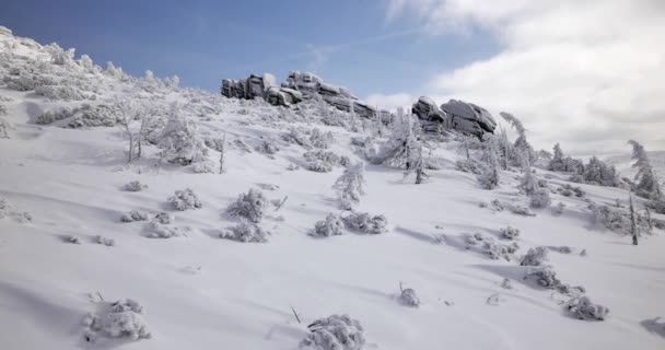 Schneebedeckte Hügel Sonniger Kalter Tag Den Sudetenbergen — Stockvideo