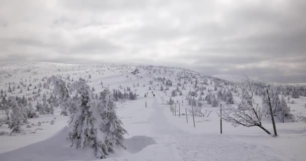 Heuvels Bedekt Met Sneeuw Zonnige Koude Dag Sudety Bergen — Stockvideo