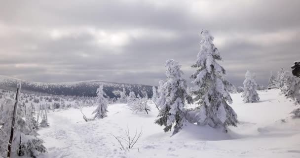 Colinas Cubiertas Nieve Día Soleado Frío Las Montañas Sudety — Vídeo de stock
