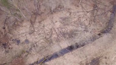 Yukarıdan görünen yapraksız ağaçlar. Hava Sonbahar görüntüleri.