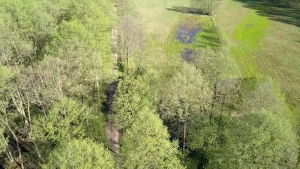 European Rural Landscape Seen Aerial Shot Nature Europe — Stock Video