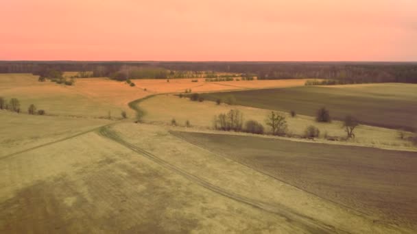 Europeiskt Landsbygdslandskap Sett Uppifrån Flygfoto Naturen Europa — Stockvideo