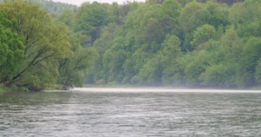 Polonya /Sanok / Tarih: 04302018. San Nehri bahar. Bahar zaman sakin, küçük nehir. Nehir, çayır ve mavi gökyüzü ile manzara.