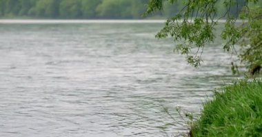 Polonya /Sanok / Tarih: 04302018. San Nehri bahar. Bahar zaman sakin, küçük nehir. Nehir, çayır ve mavi gökyüzü ile manzara.