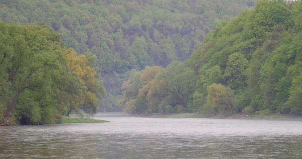 ポーランド Sanok 04302018 サン川の春 春の穏やかな 小さな川 草原と青空のある風景します — ストック動画