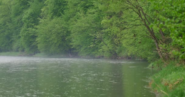 Polonia Sanok Data 04302018 Fiume San Primavera Calmo Piccolo Fiume — Video Stock