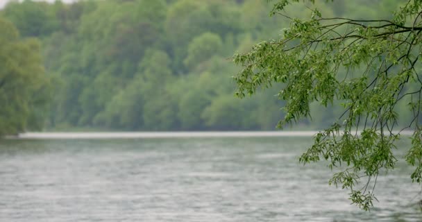 Polen Sanok Datum 04302018 San River Het Voorjaar Rustige Kleine — Stockvideo