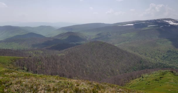 ウクライナ ビェシチャディ山脈 04302018 緑の丘の Uhd 春の光の美しい山々 — ストック動画