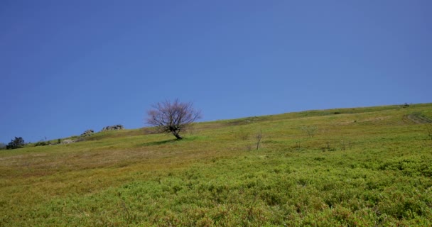 乌克兰 Bieszczady 04302018 绿色的山丘 Uhd 的画面 美丽的山在春天光 — 图库视频影像