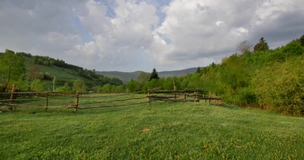農村の春の風景 ハーブや草と新鮮な緑の牧草地 暖かい午後の光 — ストック動画