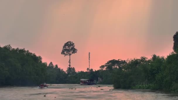 Mekong Delta Vietnam Uitzicht Vanaf Boot — Stockvideo