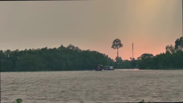 Дельта Меконга Вьетнаме Вид Лодки — стоковое видео