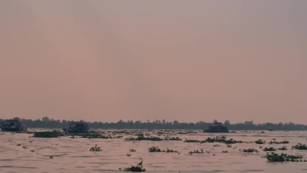 Μεκόνγκ Δέλτα Στο Βιετνάμ Θέα Από Σκάφος — Αρχείο Βίντεο