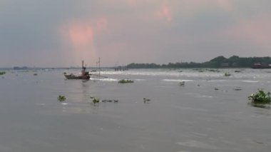 Vietnam 'daki Mekong Deltası. Tekneden görünüm.