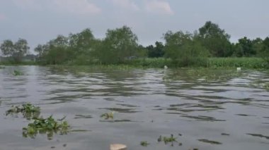 Vietnam 'daki Mekong Deltası. Tekneden görünüm.