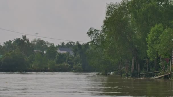 Delta Del Mekong Vietnam Vista Desde Barco — Vídeo de stock